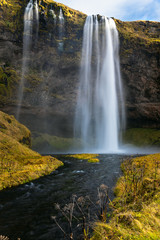 Fototapeta na wymiar Majestic Waterfall in Autumn. Seljalandsfoss, Iceland.