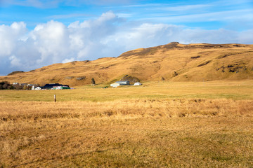 Obraz premium Rural Landscape in Iceland with a Field with Grazing Sheep and a Farm at the Foot of a Grassy Hill on a Sunny Autumn Day