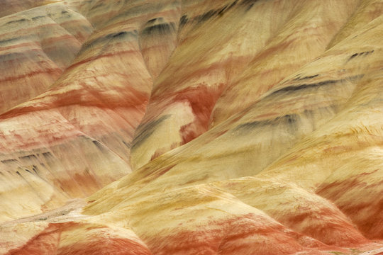 Multicolored strata in Painted Hills unit of John Day National monument, Oregon, USA