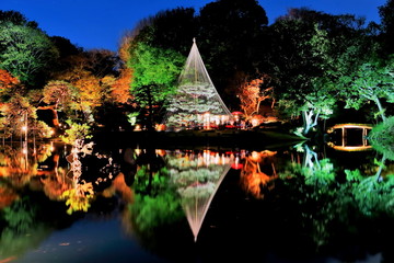 六義園のライトアップ