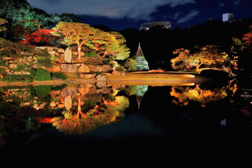 六義園のライトアップ