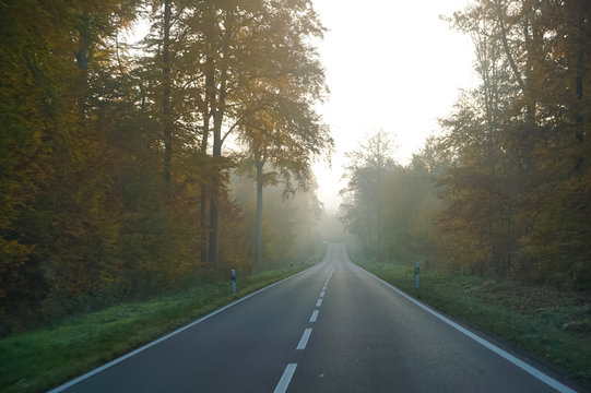 Straight country road in fog