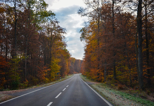 German Autumn Road