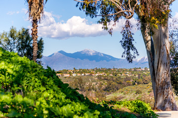 SAddleback peak in Orange County CA after a big winter snowfall