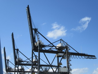 Miami port with cranes