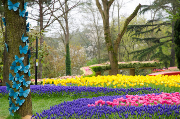 Blooming spring flowers during the tulip festival in Istanbul, Turkey