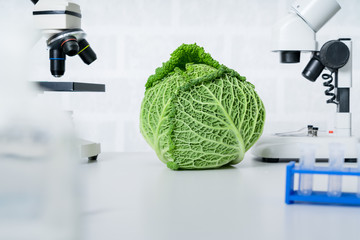 Genetic breeding of vegetables in lLaboratory , analyzing food quality,