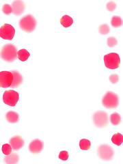Pink rose petals falling vector valentine background.