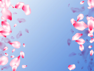 Spring blossom isolated petals flying