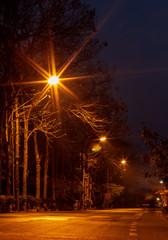 Light many lamps and trees on the dark road..