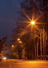 Light many lamps and trees on the dark road..