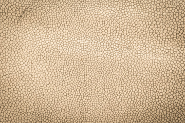 Leather texture closeup