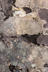 Grey marble texture background