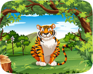 Tiger in the nature scene