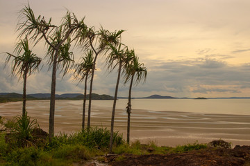 Cape York