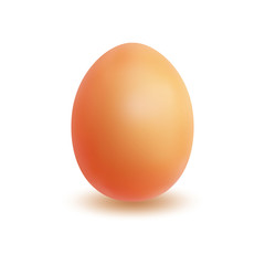 Single bright brown egg isolated on white background made in realistic style. 