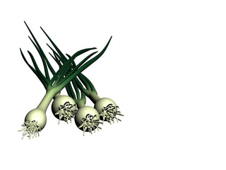 Obraz premium 3d render of onion green