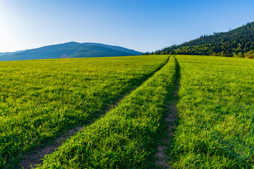 Long straight road on a grassy field