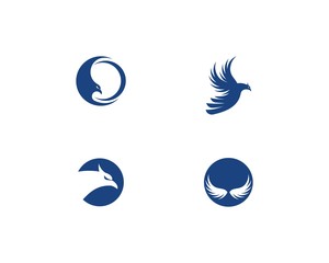 Falcon Eagle Bird Logo vector