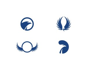 Falcon Eagle Bird Logo vector