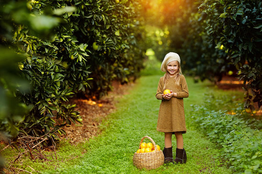 Charming little girl with wicker basket full of oranges standing in green garden smiling at camera