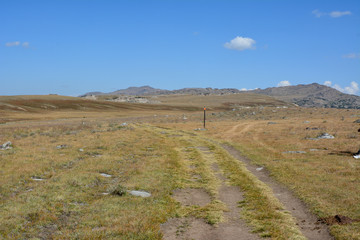 Country road in the Bighorn Mountains of Wyoming.