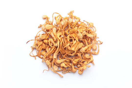 Heap of dried cordyceps militaris mushroom isolated on white background. Top view.