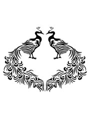 paar 2 tattoo bunt dekorativ vogel silhouette umriss schatten pfau fasan federn groß männlich schön hübsch augen zoo wildtier comic cartoon clipart design