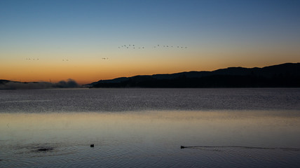 Obraz na płótnie Canvas The morning of the lake