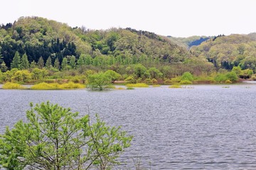新緑の湖