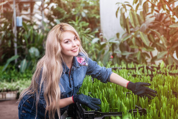 Fototapeta na wymiar Pregnant woman working at greenhouse.