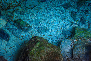 Cenote Dos Ojos with clear blue water