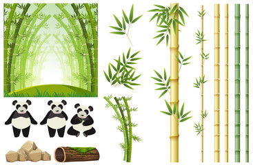 Set of panda and bamboo © brgfx