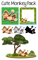 A pack of cute monkey