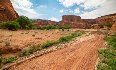 Dry desert Wash  in Canyon de Chelly National Monument, Navajo Nation, Arizona, USA
