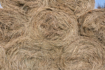 Dry baled hay bales stack, rural countryside straw background. Hay bales straw storage shed full of bales hay on agricultural farm. Rural land cowshed farm with hay straw bales stack under old shed