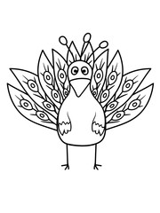 fasan pfau vogel federn groß männlich schön hübsch augen zoo wildtier comic cartoon clipart design