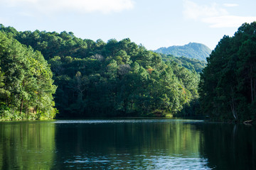 lake in deep forest