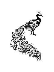 Fototapeta na wymiar dekorativ vogel silhouette umriss schatten pfau fasan federn groß männlich schön hübsch augen zoo wildtier comic cartoon clipart design