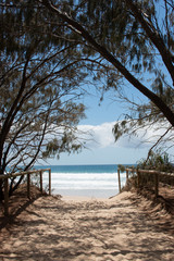 walk through tree tunnel to get the beach 
