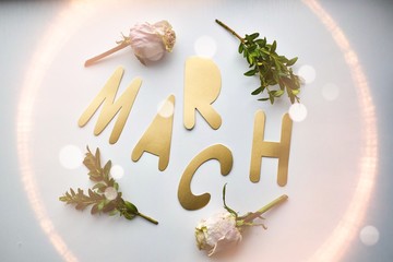Inscription in gold letters on a white background, March 8, March. With a white rose and twigs. Women's day, romantic card, romantic background. Female background.