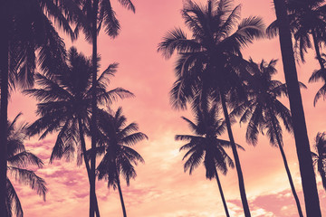 Obraz na płótnie Canvas Copy space of tropical palm tree with sun light on sky background.