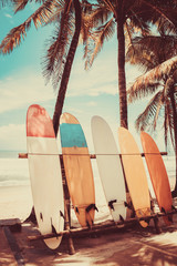 Fototapeta Surfboard and palm tree on beach background. obraz