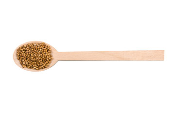 coriander seeds in wooden spoon isolated on white background