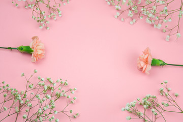 gypsophila and carnation  flowers frame top view on a pink background copy space