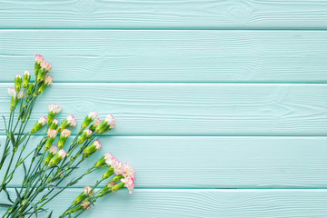 Delicate spring flowers. Small pink carnation on blue turquoise wooden background top view space for text