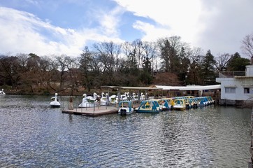 井の頭恩賜公園のボート場