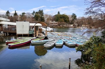Obraz premium 井の頭恩賜公園のボート場
