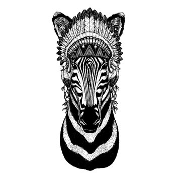 Zebra, horse. Wild animal wearing inidan headdress with feathers. Boho chic style illustration for tattoo, emblem, badge, logo, patch. Children clothing
