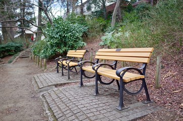 Obraz premium 井の頭恩賜公園のベンチ